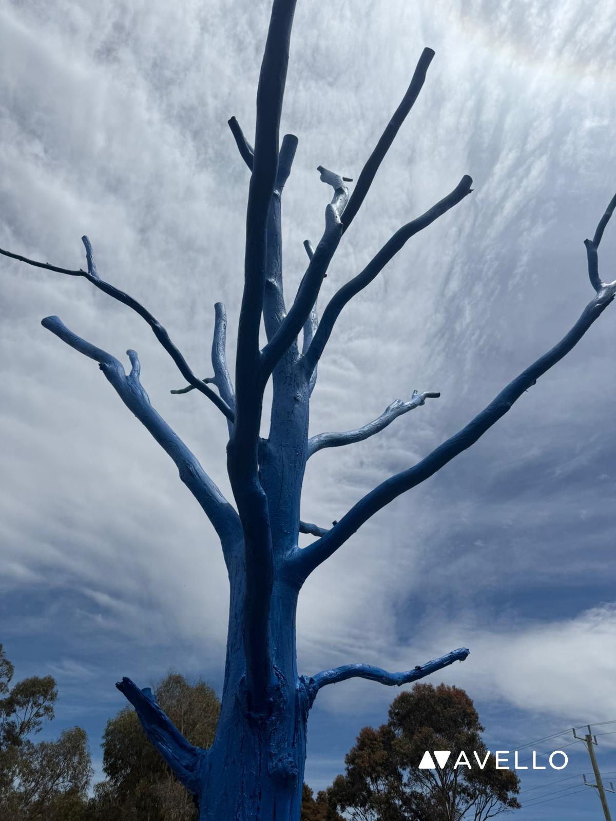 Melton Blue Tree Project: Painting Hope, Raising Mental Health ...